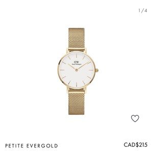 Daniel Wellington Petite Mesh Watch